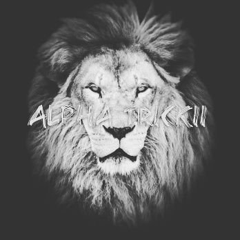 Profile Picture of Joshua Gamon (@AlphaTrickii) on Twitter
