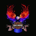 Robert.flynn - Instagram Profile Picture of Robert.flynn (@robert.flynn6898) on Instagram