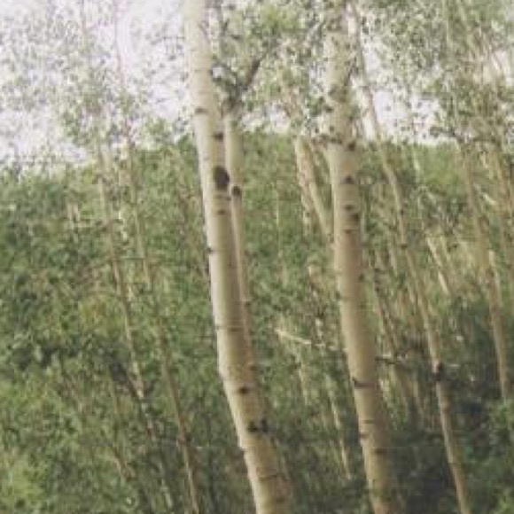 Profile Picture of Natalie Smallcombe (@nsmallcombe) on Poshmark