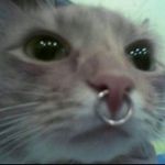 Profile Picture of yes (@ezellespam) on Instagram