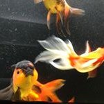 Profile Picture of Philippe Rigollot (@philipperigollot) on Instagram