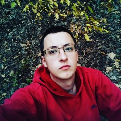 Profile Picture of Aleksandar Stojanovic (@Aleksan25836110) on Twitter