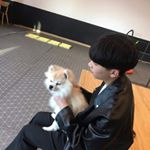 Profile Picture of 김민수 (@kimrison04) on Instagram