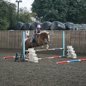 Profile Picture of Ashleigh Poole (@MegaPonygirl123) on Youtube