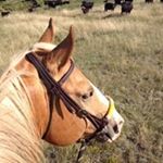 Profile Picture of Kim (@kimmoats) on Instagram