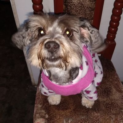 Profile Picture of Jonathan Frank (@kendra_frank) on Twitter