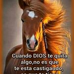 Profile Picture of Richard Perez (@ledingranizo74) on Instagram