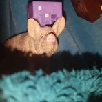 Profile Picture of Jaxon Bergevin (@tim.bergevin.161) on Facebook