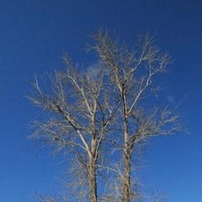 Profile Picture of Brian Syme (@brian_syme) on Twitter