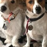 Profile Picture of Dominique Duval (@dominique.duval.3975) on Instagram