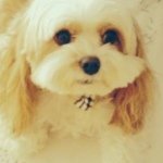 Profile Picture of joyce mullaney (@joymullan) on Instagram