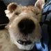 Profile Picture of Martin Carlson (@martin.carlson.528) on Facebook