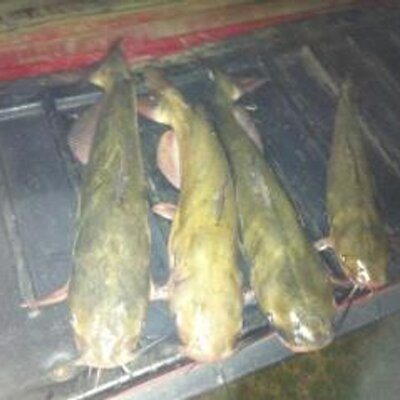 Lucas Mabe - Twitter Profile Picture of Lucas Mabe (@LucasMabe) on Twitter