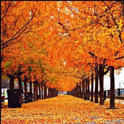 Profile Picture of Dr Omar Shah (@omarshah79) on Twitter