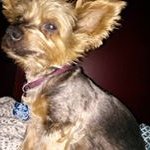 Profile Picture of Richard Keck (@richard.keck.75) on Instagram