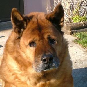 Profile Picture of John Caylor (@john6329) on Myspace