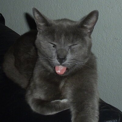 Profile Picture of Aaron Emerson (@aaronemerson) on Twitter