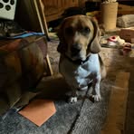 Profile Picture of Evan Hefner (@Evan-Hefner) on Facebook