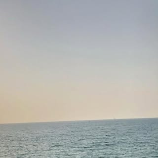 Profile Picture of David Barros (@davidbarror) on Instagram