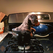 Profile Picture of Jeremy Killebrew (@toaster2812) on Youtube