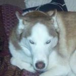 Profile Picture of Cody Roe (@codyroe72) on Instagram