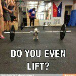 Profile Picture of brian doiron (@brian__doiron) on Instagram