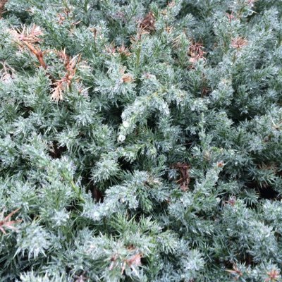 Profile Picture of Frank Woo (@Buysomebooks) on Twitter