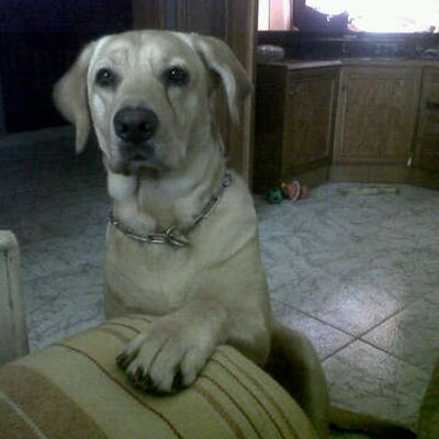 Profile Picture of Isabel Pinzon (@isabelpinzon2) on Twitter