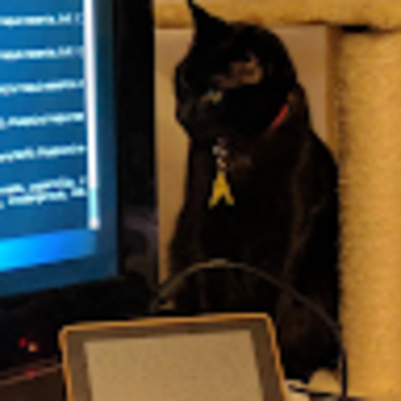 Profile Picture of Chris Castaldi (@echoshard) on Poshmark