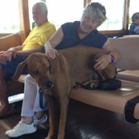 Profile Picture of Robyn Denmeade (@robyn-denmeade) on Quora