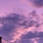 Profile Picture of andrew__searle (@andrew__searle) on Instagram