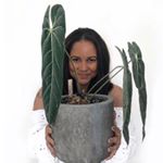 Profile Picture of Denise and Tropical Plants (@tropicalseductions) on Instagram