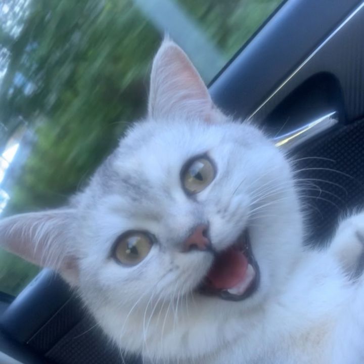 Profile Picture of Bianca (@biancabsh) on Tiktok
