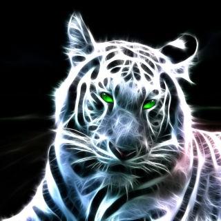 Profile Picture of Tara Anne Shultz (@Shelbykidd18) on Twitter