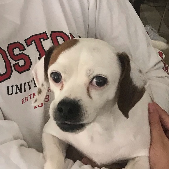 Profile Picture of Eunice Sala-suarez (@eutopia72) on Poshmark