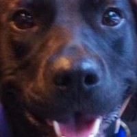 Profile Picture of Eric Molitor (@eric-molitor-4) on Quora