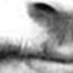 Profile Picture of Jared McGuire (@Jared McGuire) on Flickr