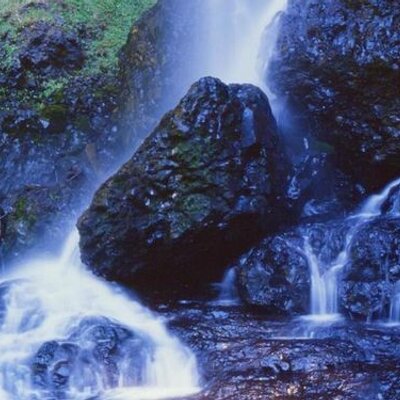 Ramon Williams - Twitter Profile Picture of Ramon Williams (@RamonWilliams9) on Twitter