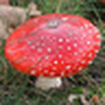 Menno Oversluizen - Flickr Profile Picture of Menno Oversluizen (@G10nonac) on Flickr