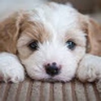 Profile Picture of George Laszlo (@george-laszlo-1) on Quora