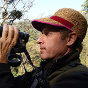 Profile Picture of David Stanton-Birds Of India (@mrdavidstanton) on Youtube