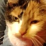 Profile Picture of Robert Owen Kozik (@okozik06) on Instagram