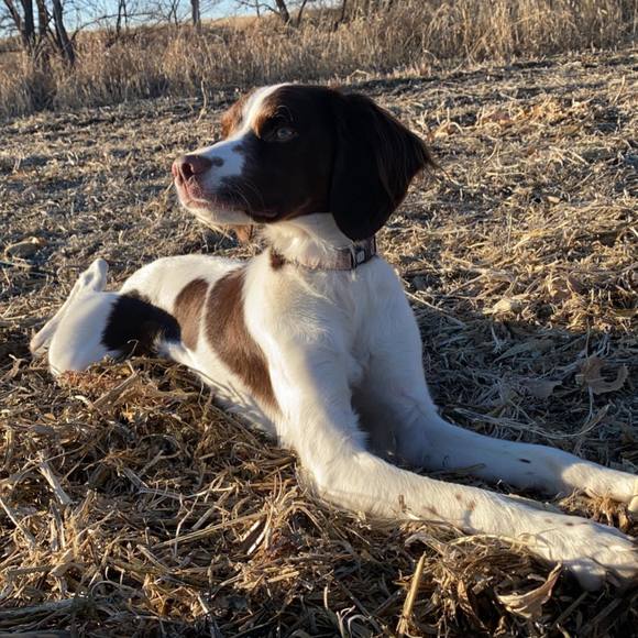 Profile Picture of Tylan Lambertus (@ty24j) on Poshmark