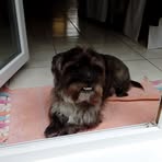 Profile Picture of Steven Anselmi (@steven.anselmi.1) on Facebook