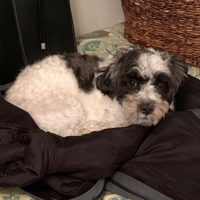 Profile Picture of Michelle Emory (@michelleemory5) on Twitter