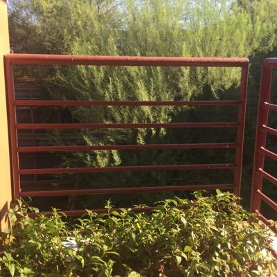 Profile Picture of John Driscoll (@JeffMD1) on Twitter