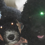 Profile Picture of Nicholas Brian Noble (@nicholasbriannoble6080) on Youtube