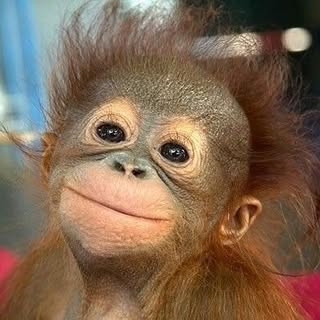 Profile Picture of 진수 (@ki_keum) on Instagram