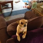 Profile Picture of Jim Staebell (@jim.staebell.1) on Facebook