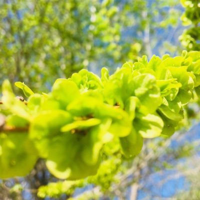 Boklan - Twitter Profile Picture of Boklan (@Boklan3) on Twitter